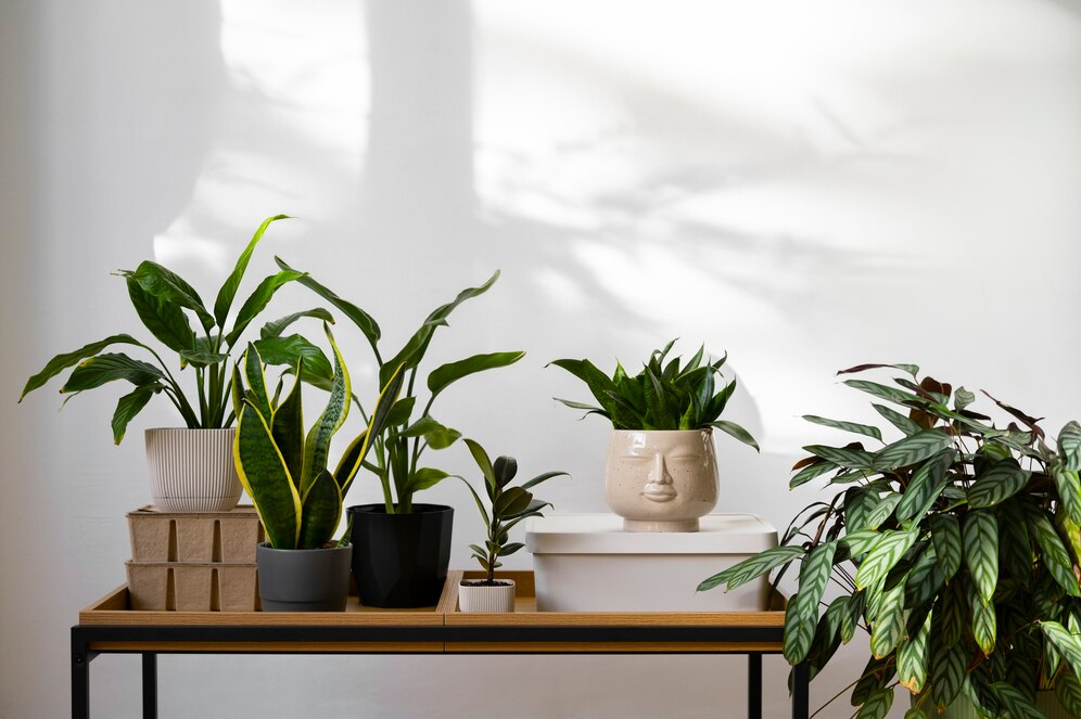 Nature on Interior Design